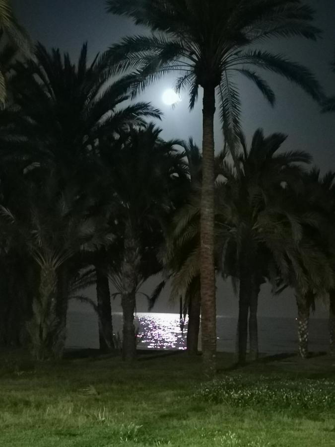 Lido Beachfront Torremolinos Eksteriør bilde