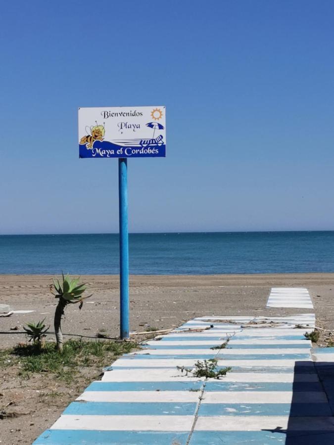Lido Beachfront Torremolinos Eksteriør bilde